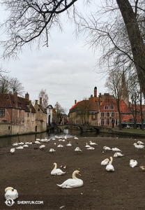 Jeszcze więcej Bruges. (fot. kinooperatorka Annie Li)