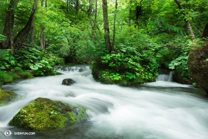 …w otoczeniu natury.