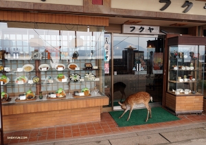 W Japonii w wielu jadłodajniach na witrynie wystawione są plastikowe wersje potraw. Wygląda na to, że ten potencjalny klient da się skusić i wejdzie do środka.