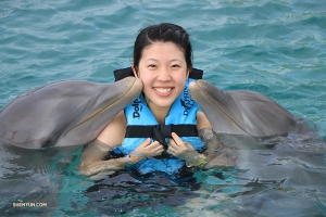 Zaprzyjaźniając się z nowymi znajomymi w Dolphin Cove.