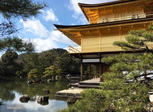 Tancerka Betty Wang postanowiła sprawdzić Kinkaku-ji (Złoty Pawilon), w Kioto.