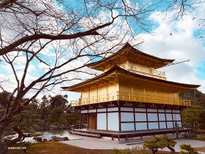 Kolejna misja: tancerze Shen Yun World Company są zdeterminowani by uchwycić Złoty Pawilon ze wszystkimi jego cudami. (Lily Wang)