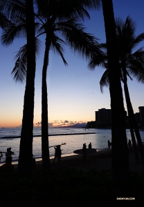 Miejscowi surferzy na plaży w Honolulu uchwyceni w typowej hawajskiej, pocztówkowej scenerii (Jeff Chuang)
