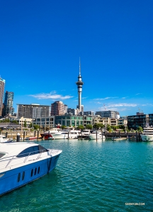 Niektórzy artyści wybrali się na spacer wzdłuż popularnego nabrzeża Queens Wharf w Auckland, aby się mu przyglądnąć. (Tony Xue)